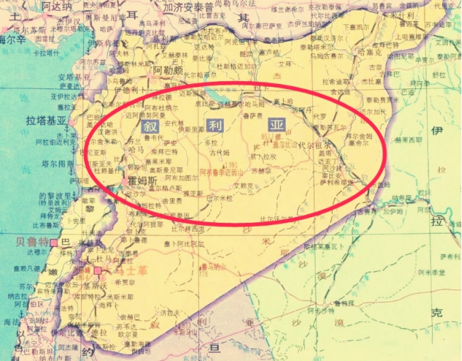 叙利亚的阿萨德家族,叙利亚阿萨德属于什么派