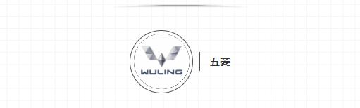 传统品牌的电动汽车,传统品牌电动车