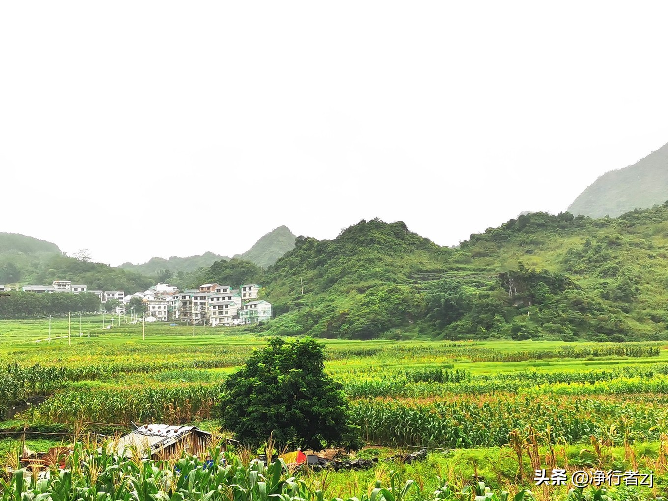 「原创」八桂寻宝（十六）巴马：镶嵌在大地上的草书