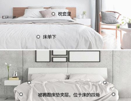 螨虫的小红疙瘩如何消退,家里有螨虫过敏者