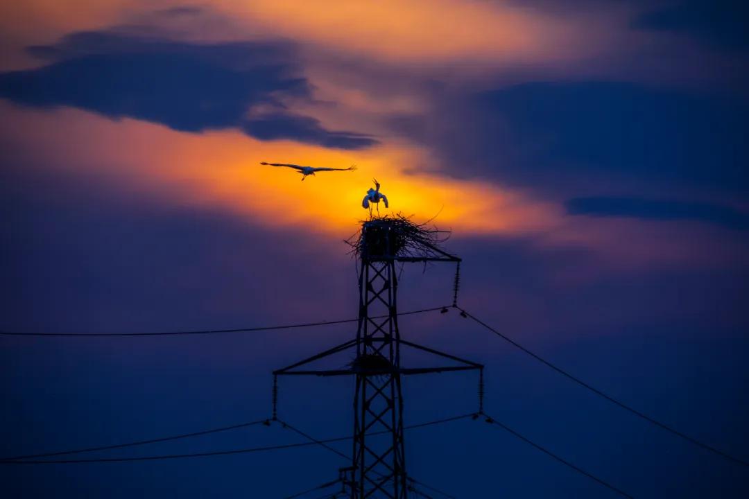 香港第14届全国摄影艺术展,第29届全国摄影艺术展览获奖名单