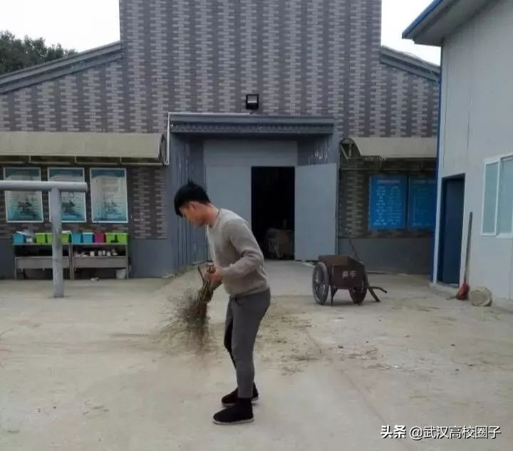 武汉低调神秘的高校,武汉低调的大学