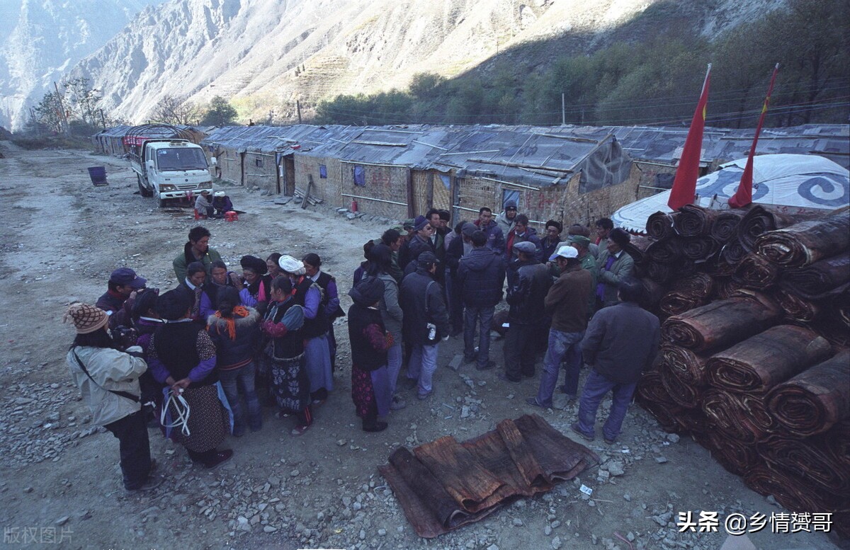 又到5.12，“猪坚强”不再坚强，忆那年农村