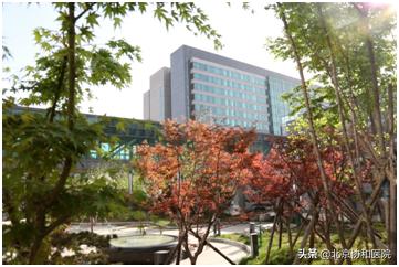 协和的园子：一座澄净心灵的医学百草园