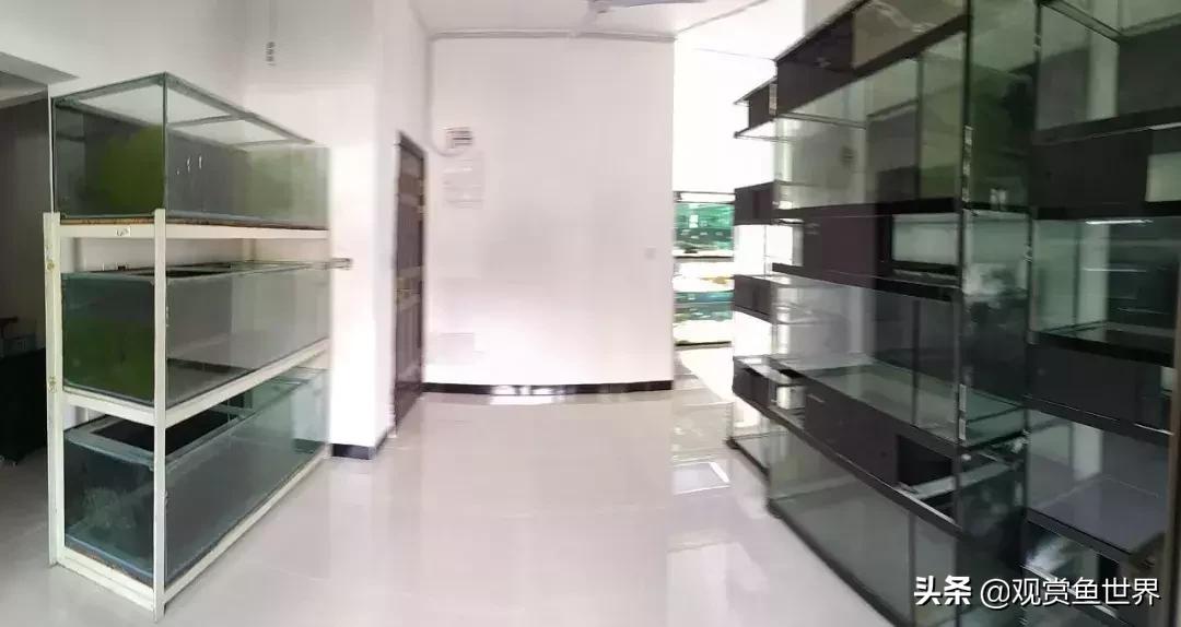 梦想的三湖世界持续建设中……方位:中国天津