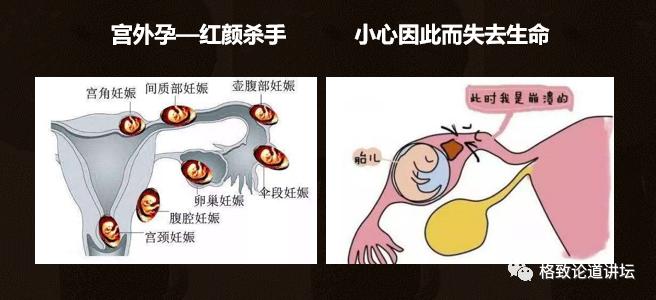 身为女人的我们如何保护好自己,作为人类我们如何保护地球