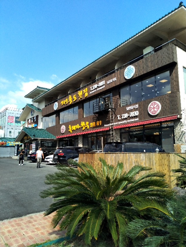 去济州岛需要准备啥,想去济州岛旅行怎么去