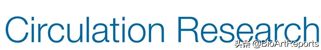 北大团队证实，载脂蛋白缺陷对动脉硬化的影响