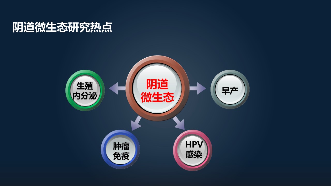 肖冰冰,肖冰冰的创作