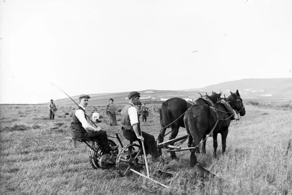 想脱单去哪找优质男,想脱单去哪里认识女孩