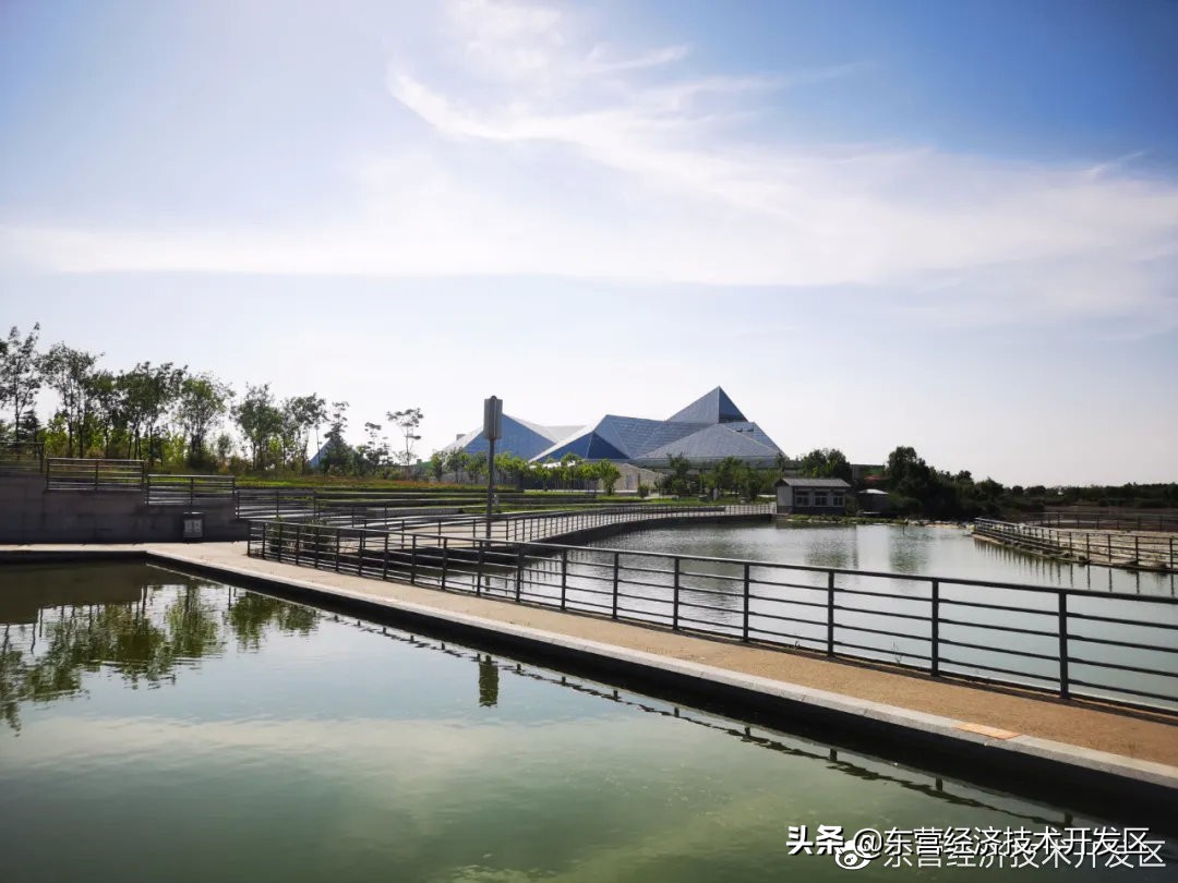 来开发区必去的地方,开发区秋季美好的风景