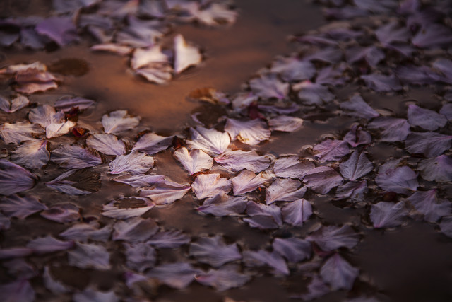 大家如何看待这样的母亲,这样的母亲值得原谅吗