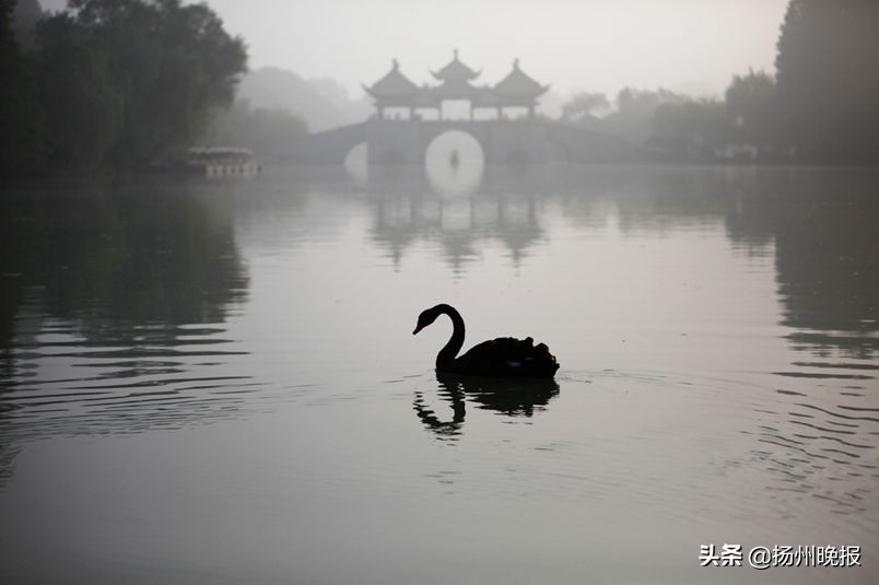 2018年冬天扬州赏花攻略,扬州11月秋景打卡地
