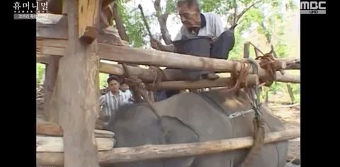 被铁链拴住的一生,被铁链绑住全身后逃脱
