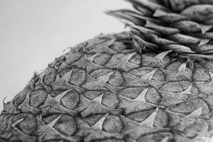 小央美钢笔画视频,极品五大钢笔画简直美爆