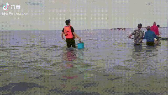 威海大叔赶海视频博主,山东威海网红赶海