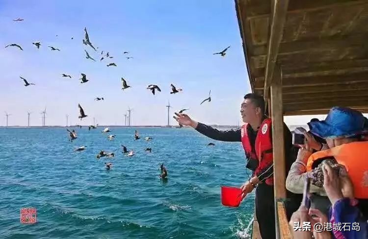 国企扎堆选择石岛，何为？