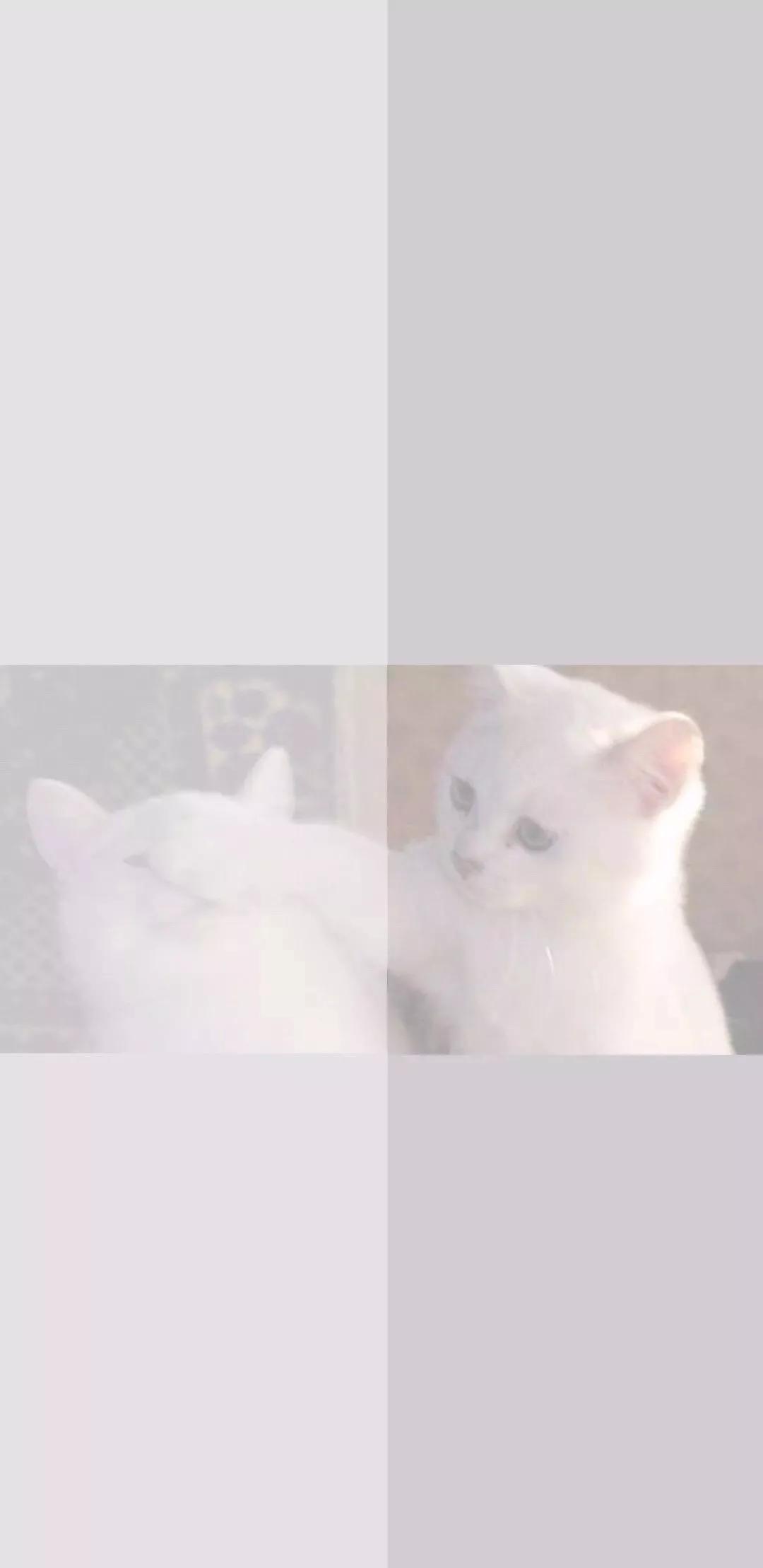 聊天背景图片男生专用个性,超个性的聊天背景图