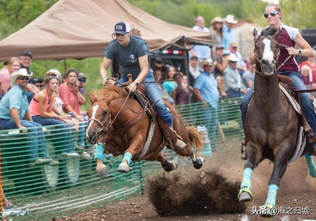 神级抓拍图片,25张令人惊叹的“神”级抓拍