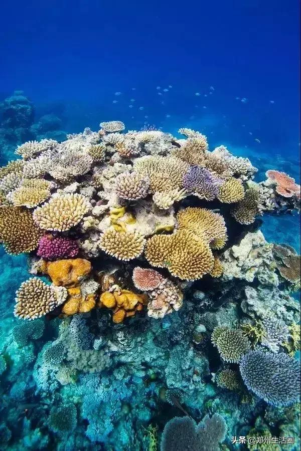 二月份适合去哪旅行,二月份最值得旅游的地点