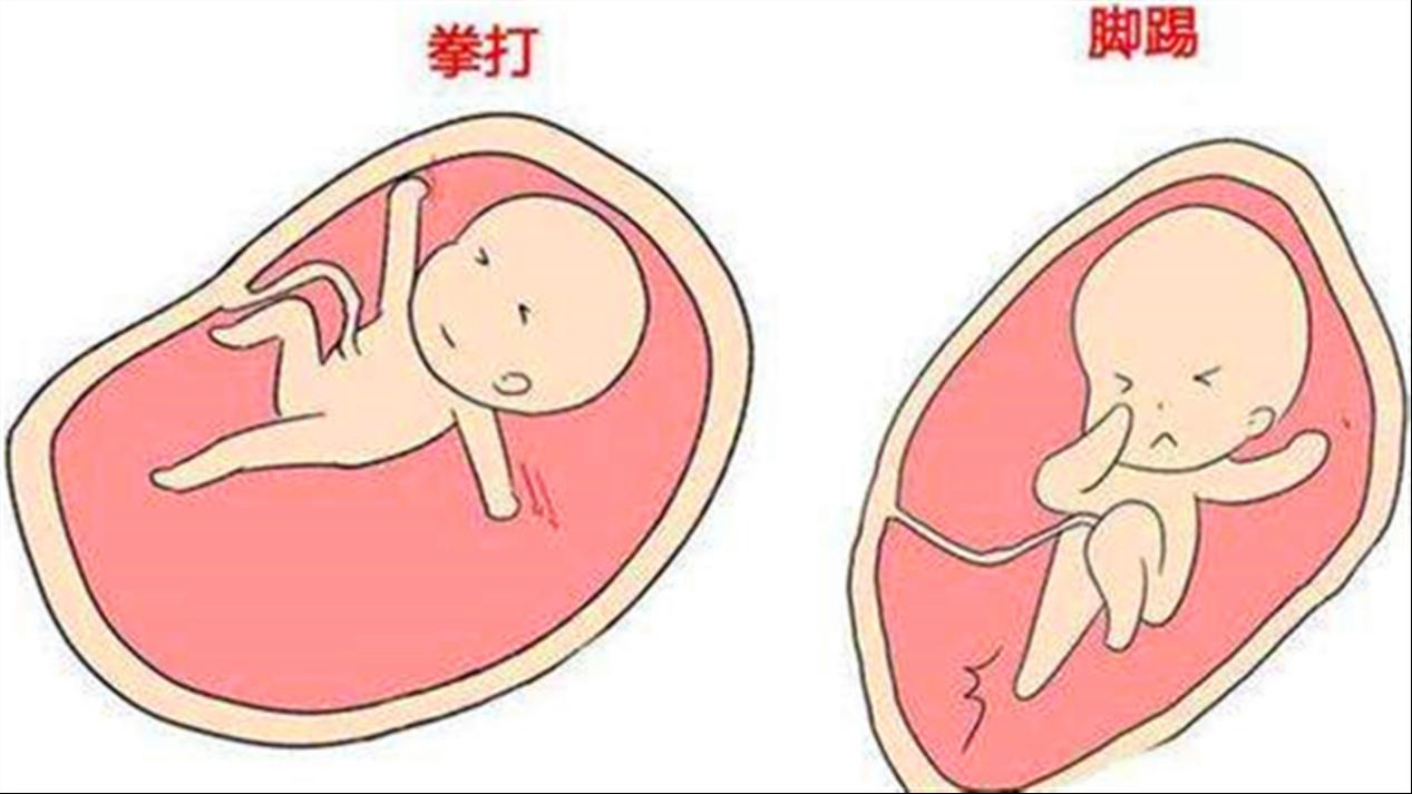 孕妈睡觉宝宝在干什么,孕妈七个月宝宝在肚子里干嘛