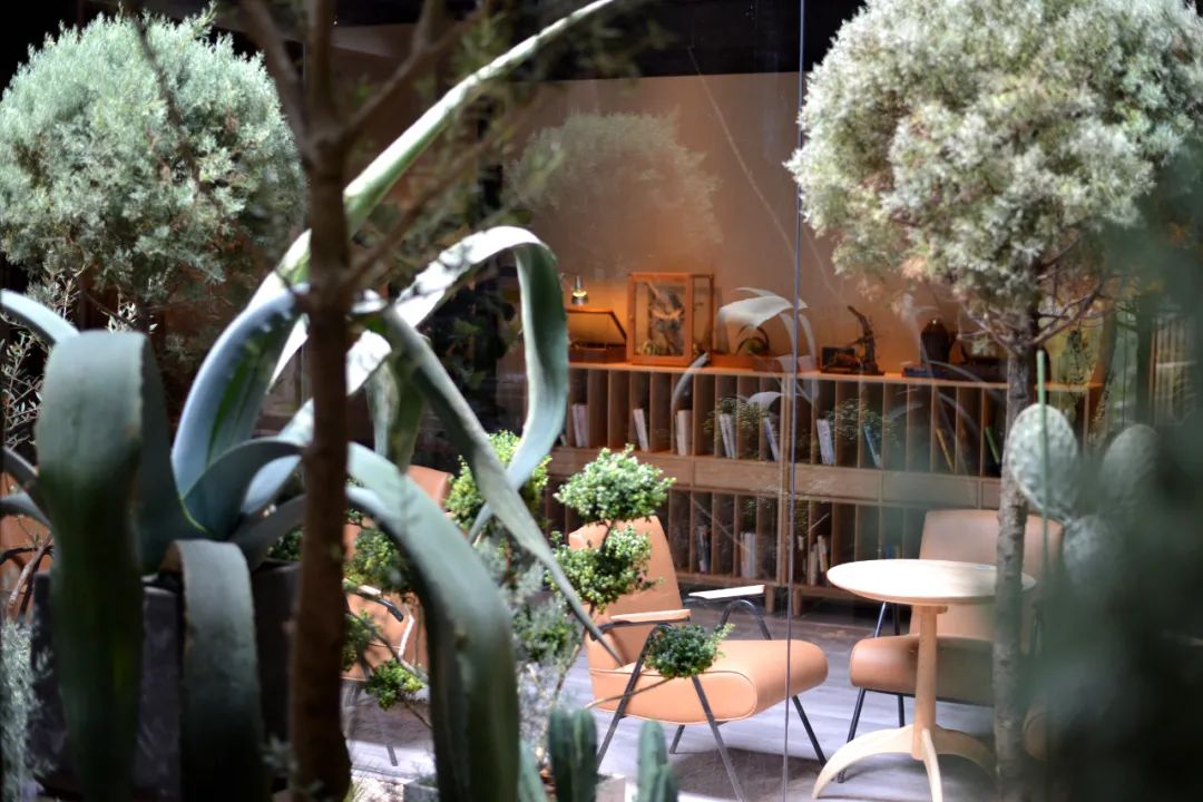 京城首家！探秘最热门“一尺花园”咖啡馆，西山脚*体下**会海派腔调