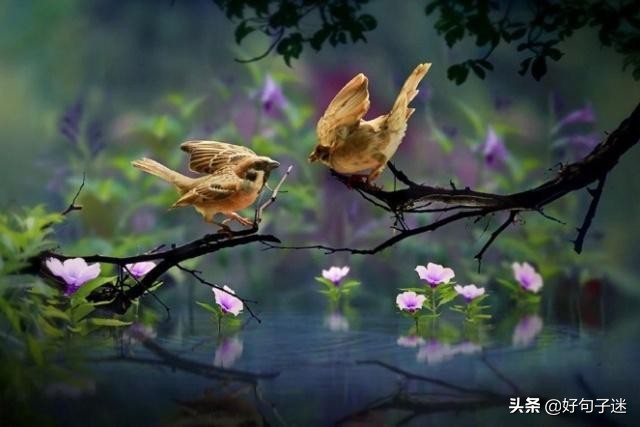 人生感悟英文短句子,句句入骨,看完你会明白很多!