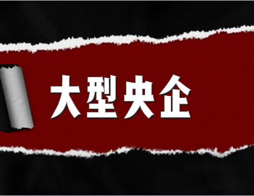 国家电网应届生工资,985国家电网应届薪资
