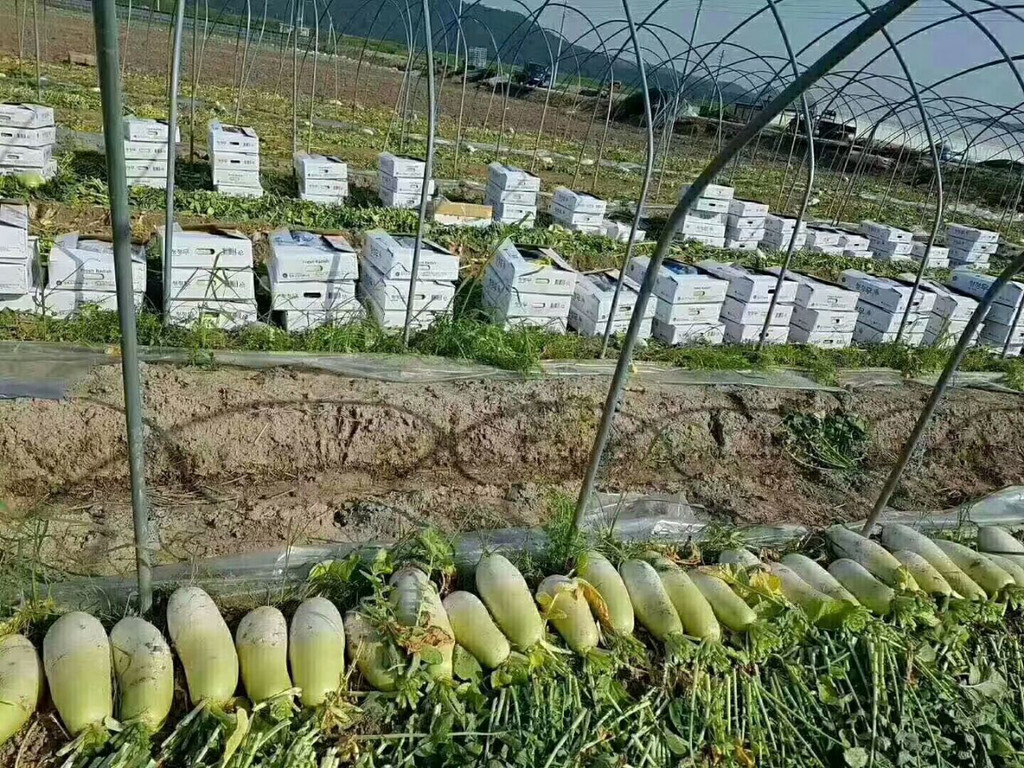 出国劳务正规招聘排行榜,出国劳务招聘去哪里报名