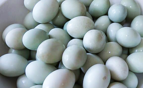 腌鸭蛋最简单做法不流油,怎么腌鸭蛋好吃又不容易坏