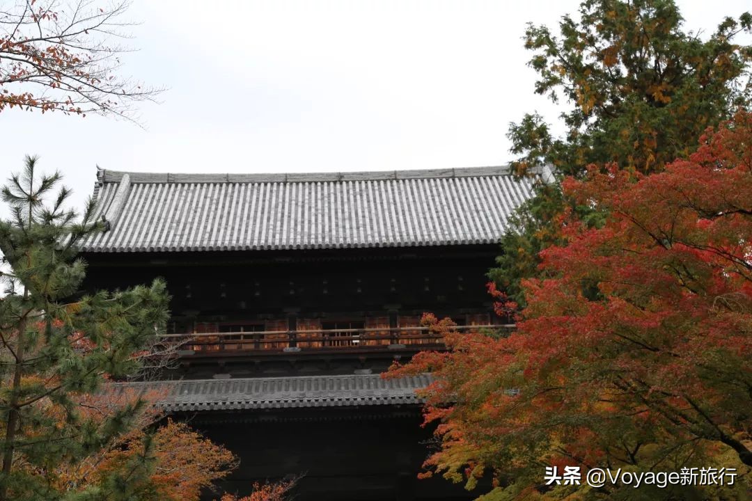 如果一生只能去一次北海道,如果一生只能去一次甘南