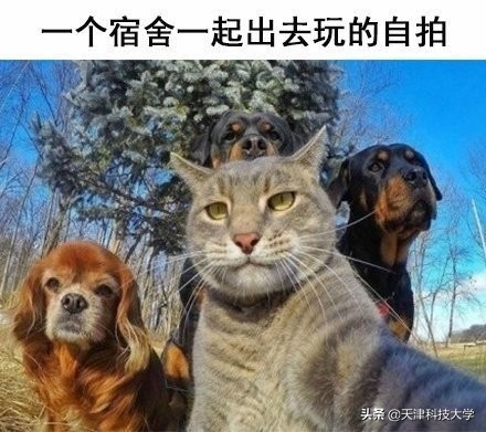 大学生生活真实案例,大学生真实生活实录