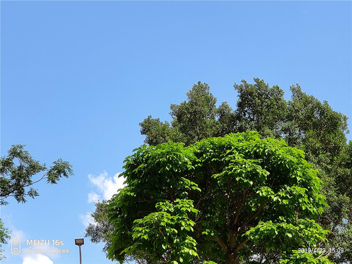 魅族16s的全面屏操作,魅族16s体验flyme9