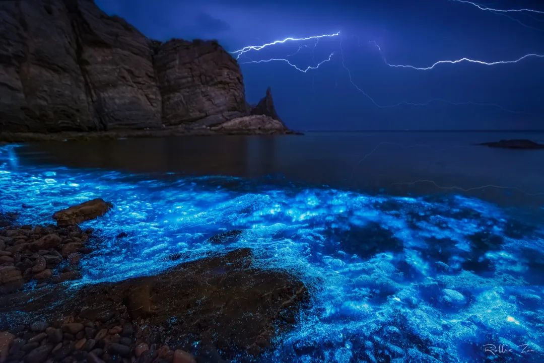 去大连海边玩一趟要多少钱,去海滨城玩有什么攻略