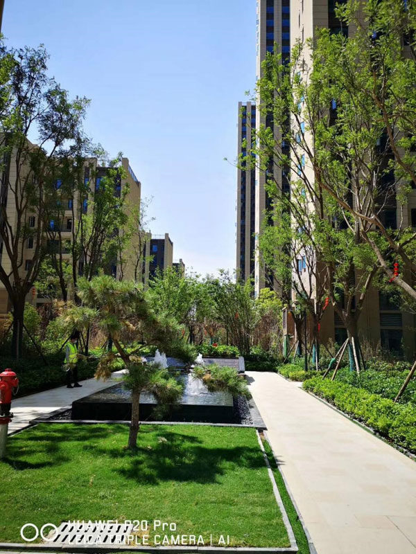 碧桂园欧洲城风貌,碧桂园欧洲城现房价格