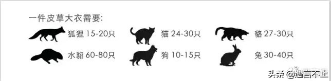 英国女王正式宣布拒绝皮草，愿世间没有血淋淋的时尚