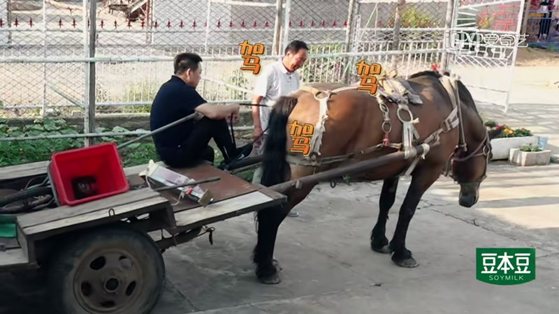 魏大勋孟宴臣圈粉多少,魏大勋最近新综艺节目