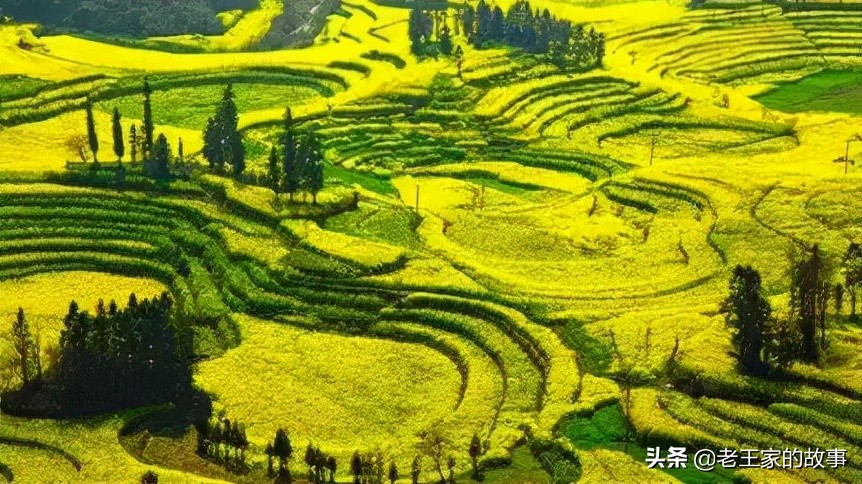 乡村项目开发理想方式有哪些,怎么谈地区项目开发