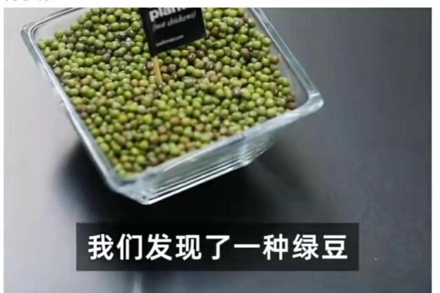 美国人造鸡蛋正式发售,美国人造鸡蛋什么时候开始卖