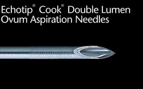 捐卵黑幕,捐卵骗局真人