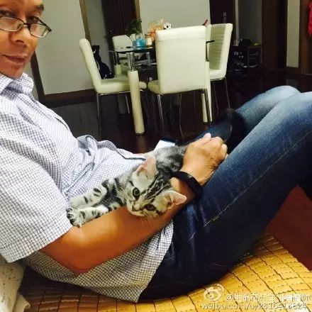 冲动下养猫，你和你的猫现在是怎样的生活？