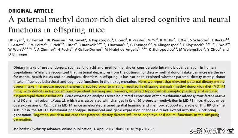 男士叶酸吃多了影响智商,男性长期吃叶酸对备孕有什么坏处