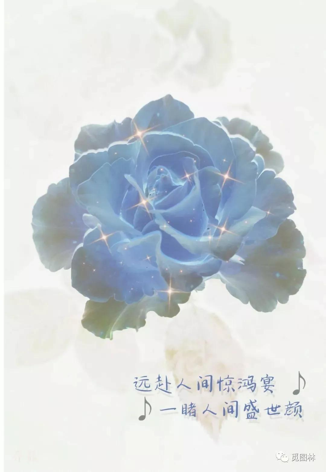 印刷行业新手入门教程,新手如何学习印刷