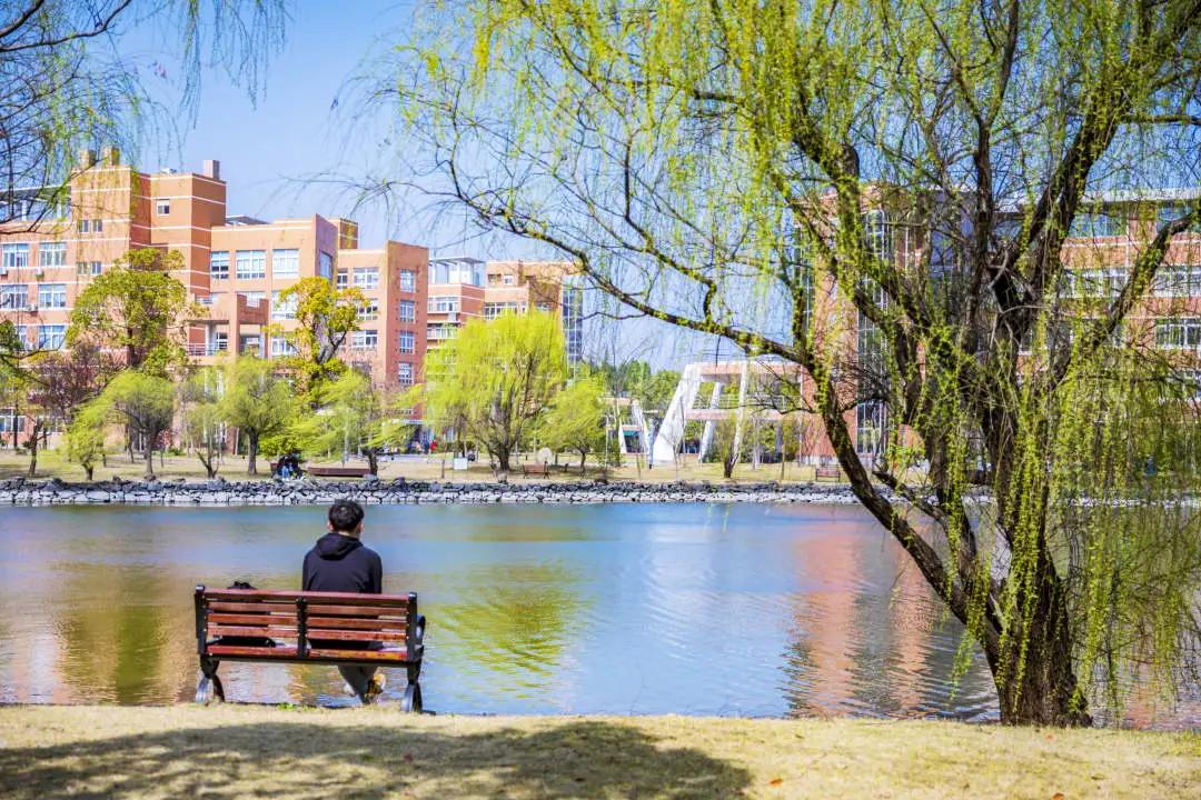 杭州美职学校风景,杭州美丽学校评选