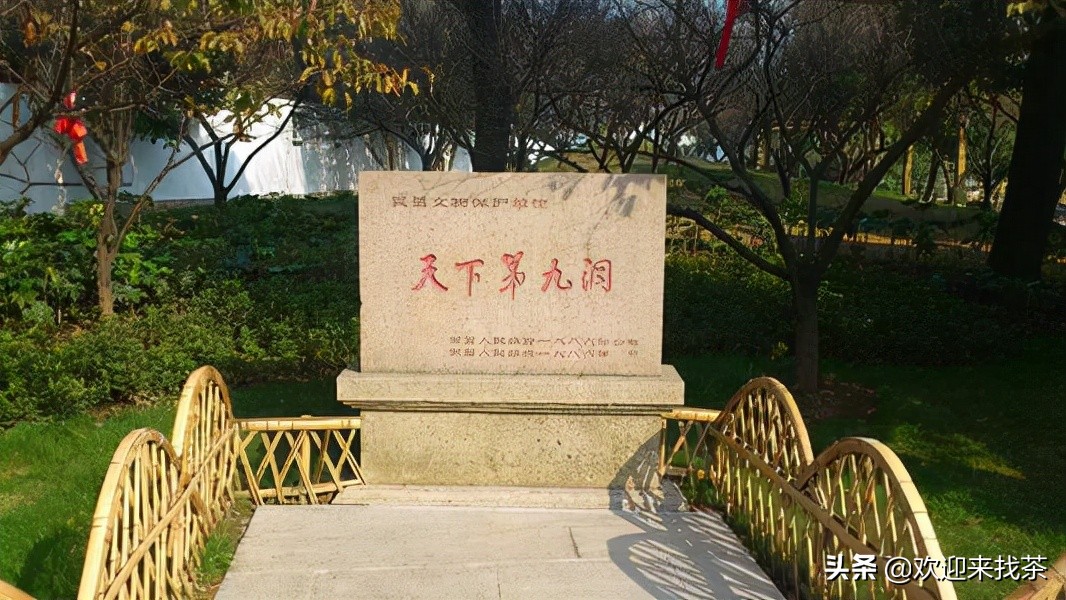 碧螺春出自于哪个地方的茶叶,碧螺春又名什么