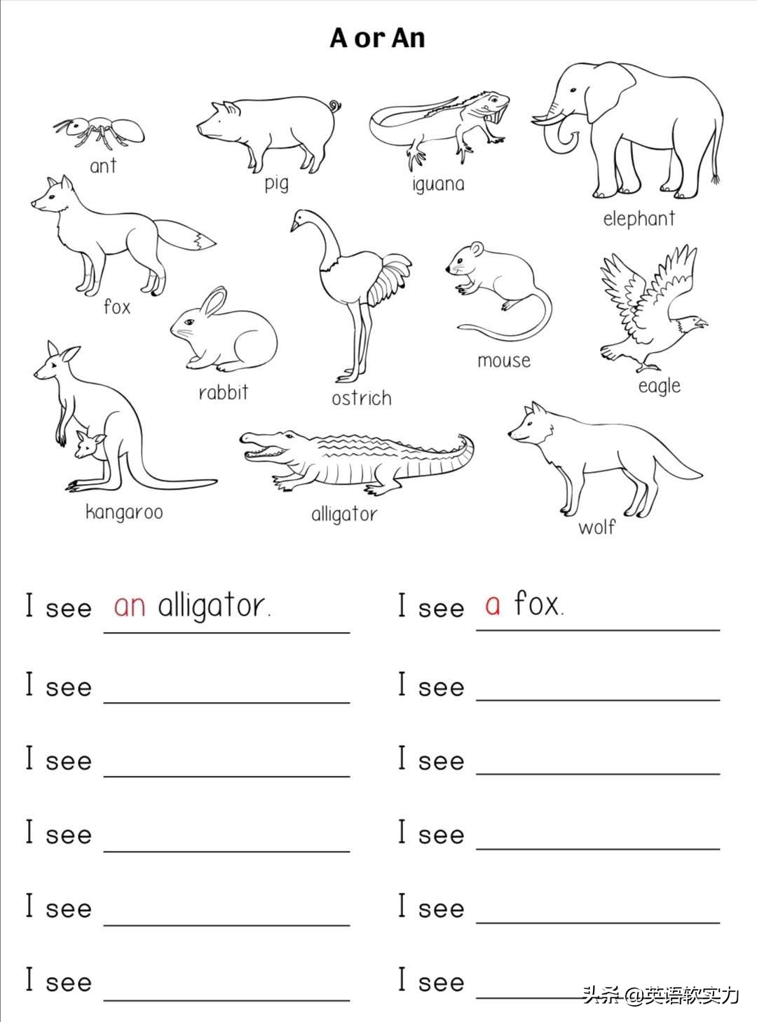 小朋友语法练习,美国小孩学语法吗