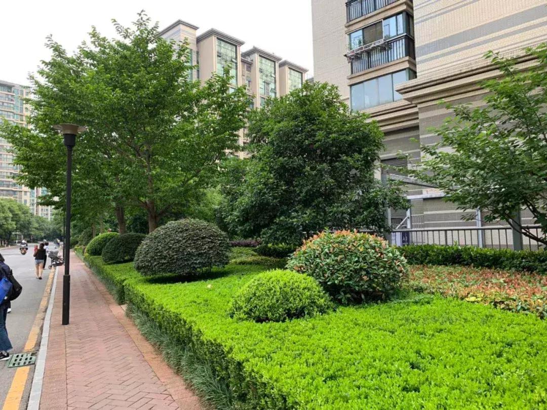 我叫雅居乐花园，我只想做个安安静静的*男美**子