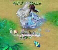 109神木林藏宝阁怎么选,藏宝阁夫子庙购买神木林