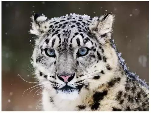 张掖啥意思,张掖古代叫什么