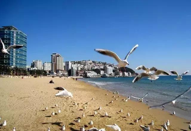 身份证410、411、412开头的，去了郑州就等于去了全世界